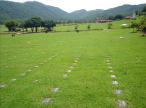 Coroa de Flores Cemitério São Francisco de Paula (Rio de Janeiro/RJ)